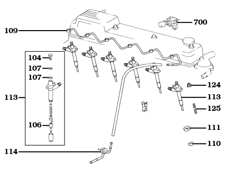 12HT Diesel Injectors