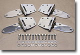 Polished Stainless Hinges