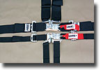 2 and 3 inch belts and harnesses