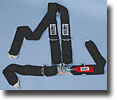 3 inch Belt and harness