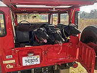 Thank you Sam Example: Lift up Hatch and Swing Out doors