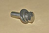 Stainless Hinge Bolt